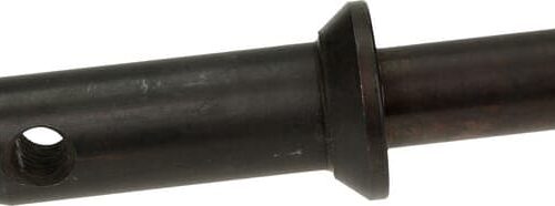 SWORZEŃ CIĘGŁA DOLNEGO 28x137