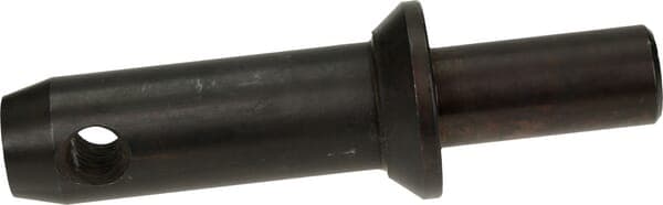 SWORZEŃ CIĘGŁA DOLNEGO 28x137