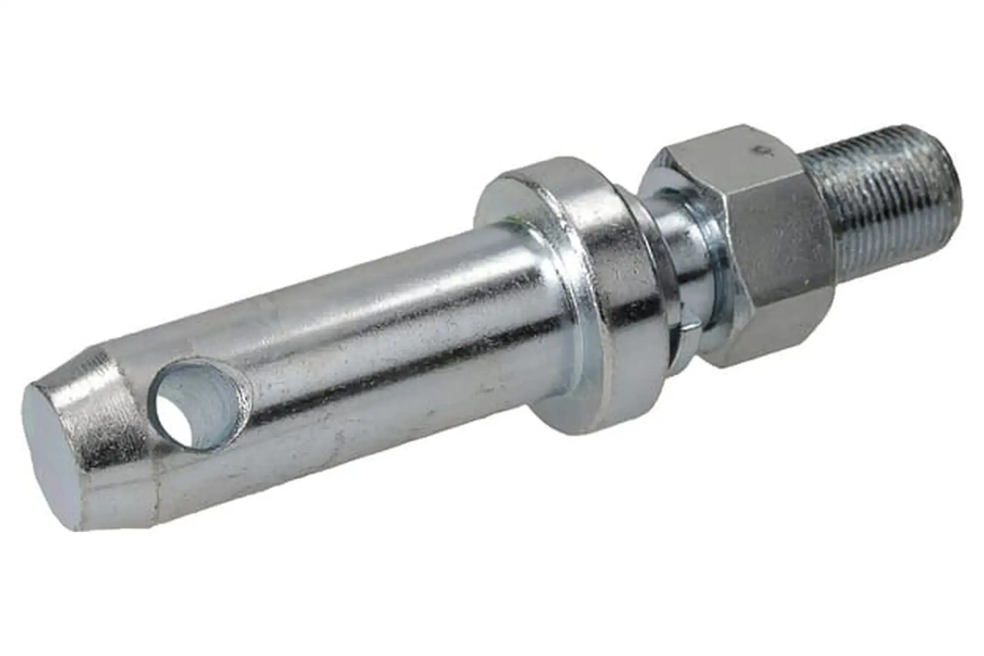 SWORZEŃ CIĘGŁA DOLNEGO 22x150