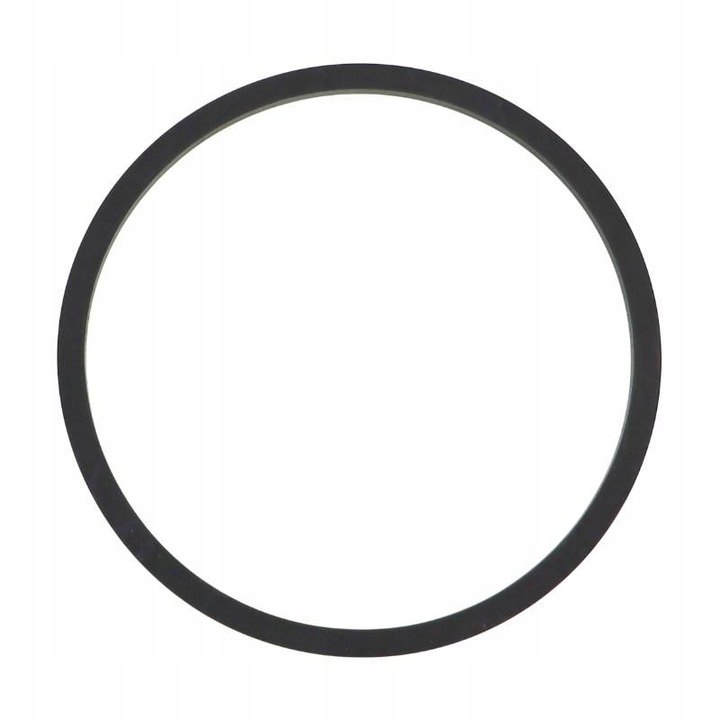 Uszczelka-Filtra-Paliwa-F5022