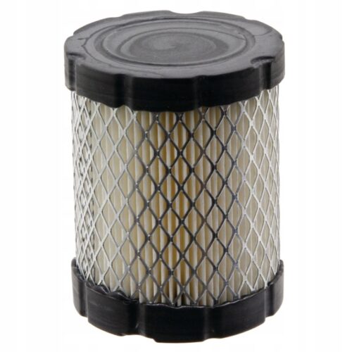 Filtr-powietrza-BRIGGS-STRATTON-591583-796032