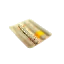 walek slimaka sipma